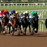 horse betting arbitrage