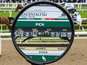 what does sp mean in horse betting